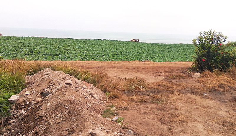 venta de terreno agrícola en playa de chancay