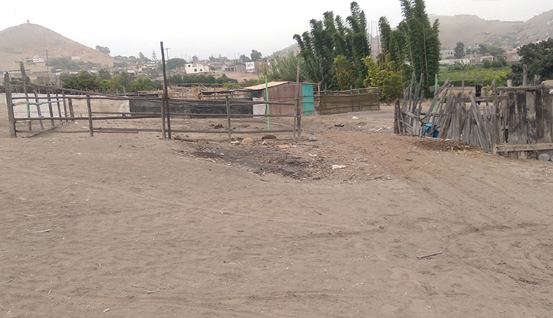 terrenos en chancay para chanchería