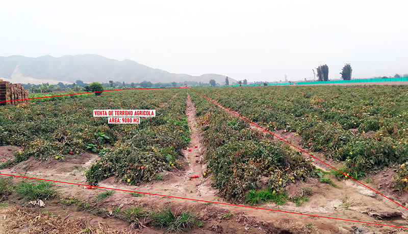 venta de terreno agrícola en pampalibre chancay